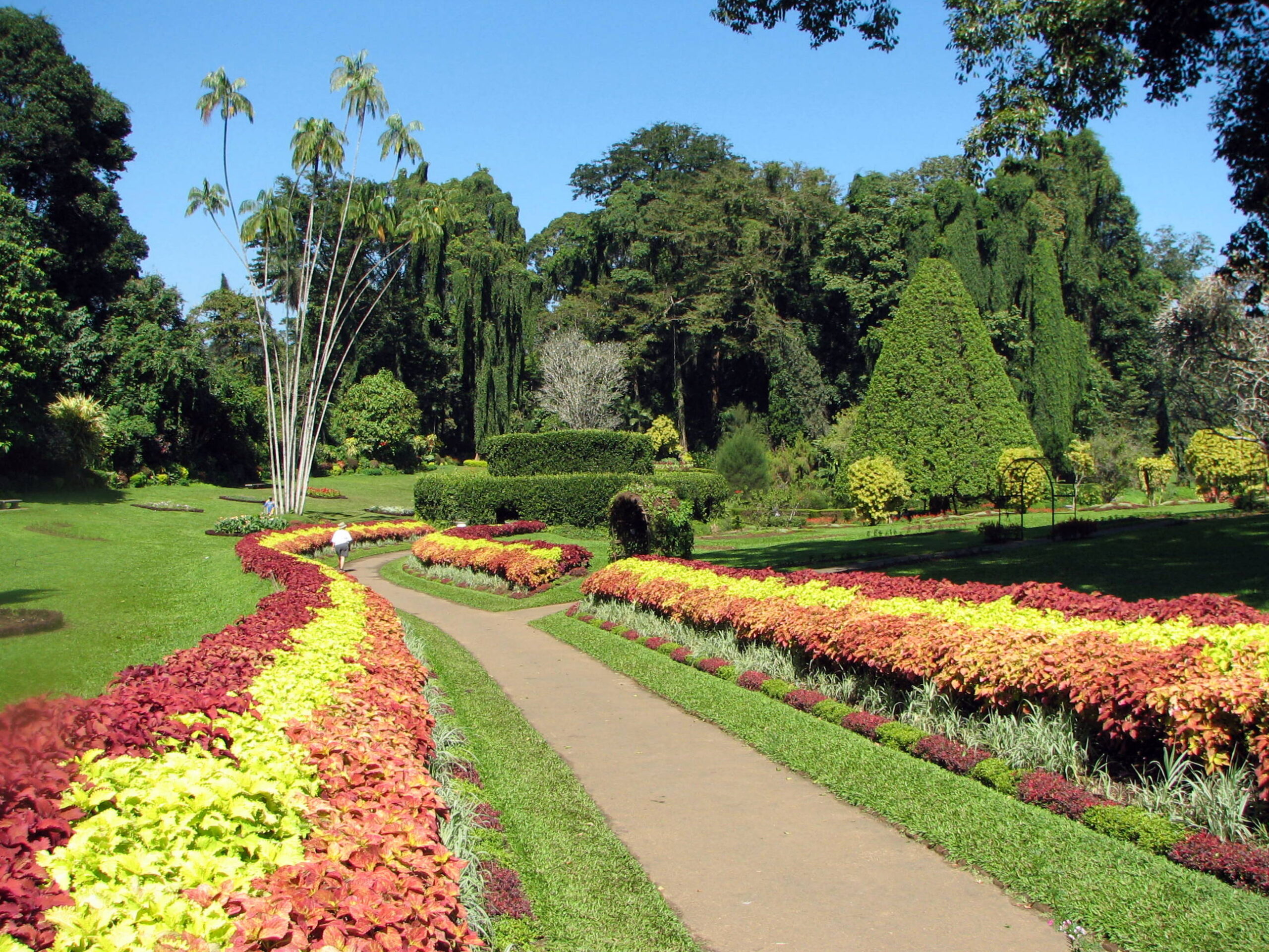 botanical garden of peradeniya 03